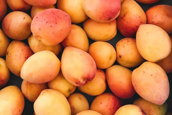 national mango month