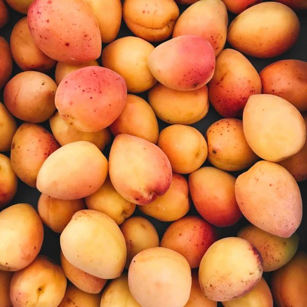 national mango month