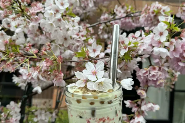 cherry blossom drinks
