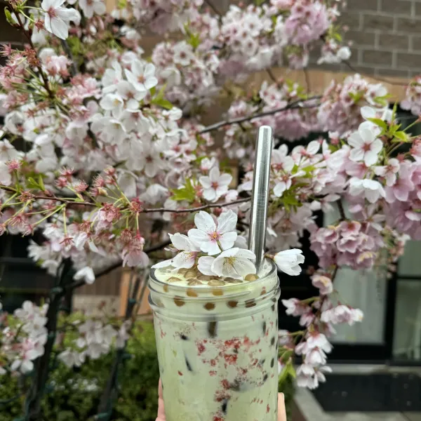 cherry blossom drinks